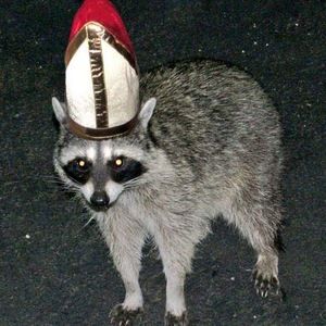 Meet your Posher, Dylan